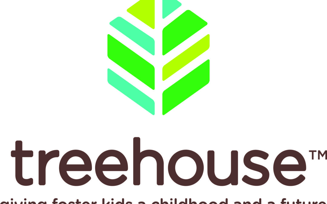 Member Spotlight: Treehouse, Setting a BHAG and Achieving It