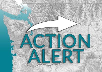 Action Alert: Tell Congress to Include Nonprofits in CARES Act 2.0