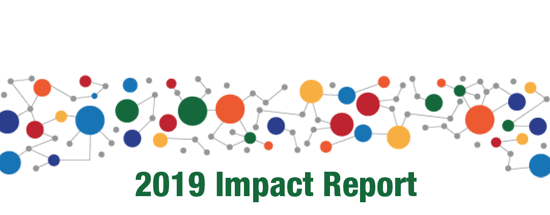 2019 Conferences Impact Report
