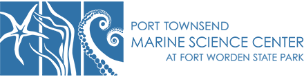The Port Townsend Marine Science Center logo, with the subtitle "at Fort Worden State Park." In blue all-caps font, with an image of a sea star, kelp, and octopus tentacles.