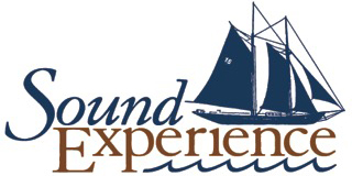 Member Spotlight: Sound Experience – Looking to the future