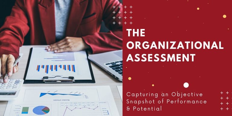 The Organizational Assessment