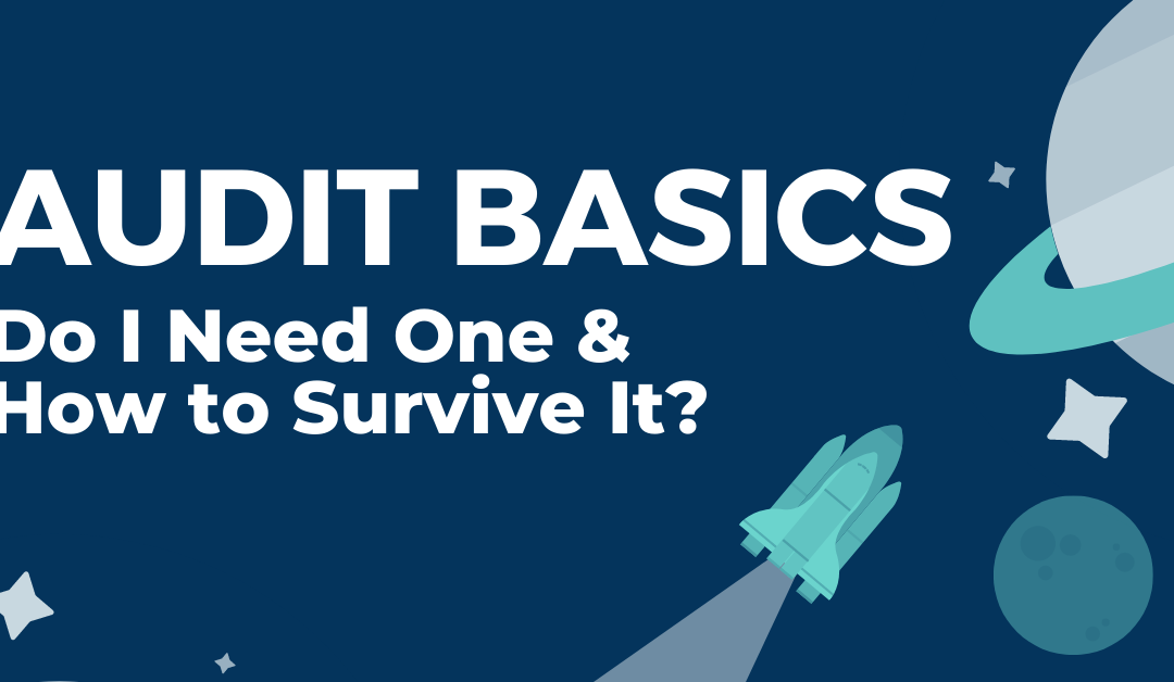 Audit Basics Do I need one and how to survive it