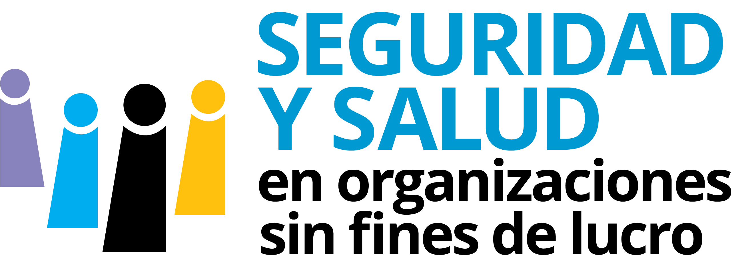 Seguridad y salud en orginazaciones sin finees de lucro