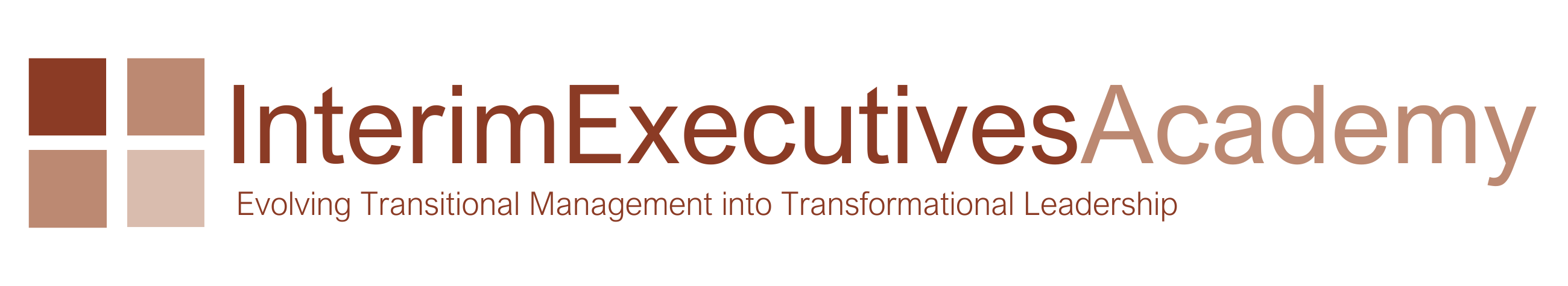 LOGO Interim Execs Academy