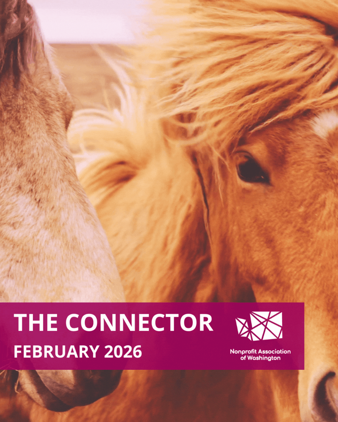 The Connector | February 2026